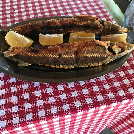 Lepenac Na Vodi