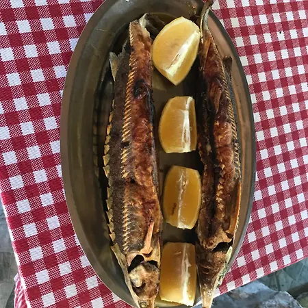 B&B Lepenac Na Vodi *