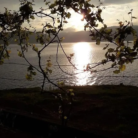 Lepenac Na Vodi B&B *